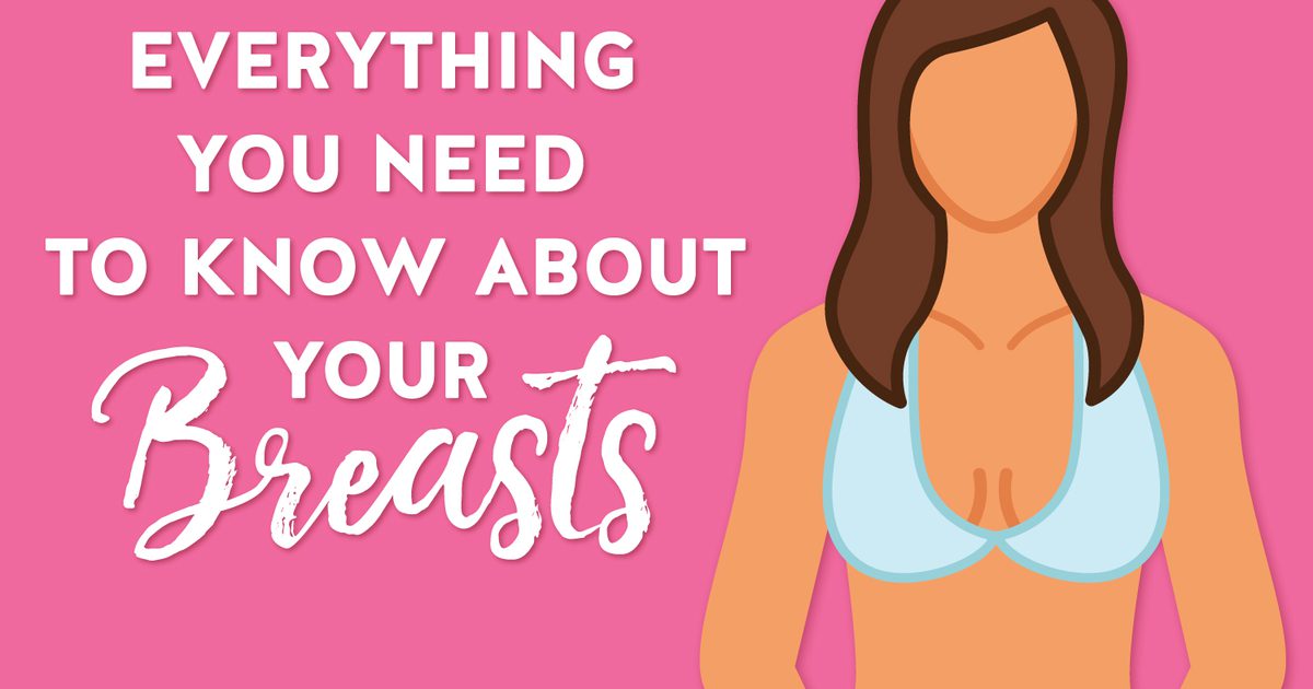 सब कुछ जो आपको अपने स्तनों के बारे में जानना है