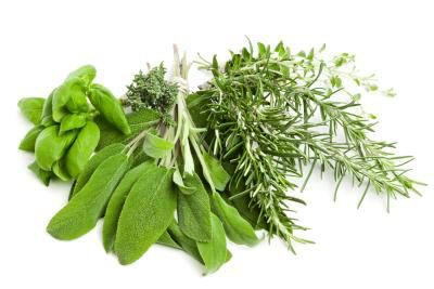 Herbal Remedies for hyperhidrosis