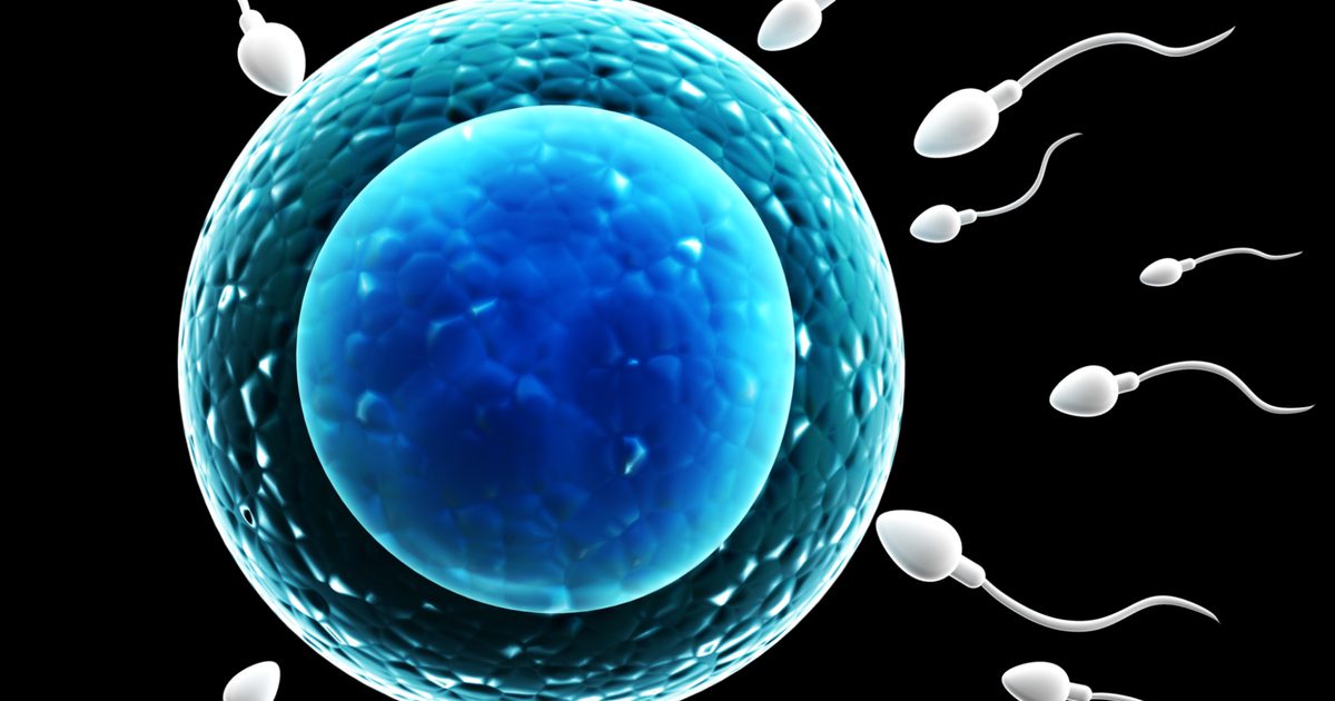 Wie wird Sperma gesammelt?