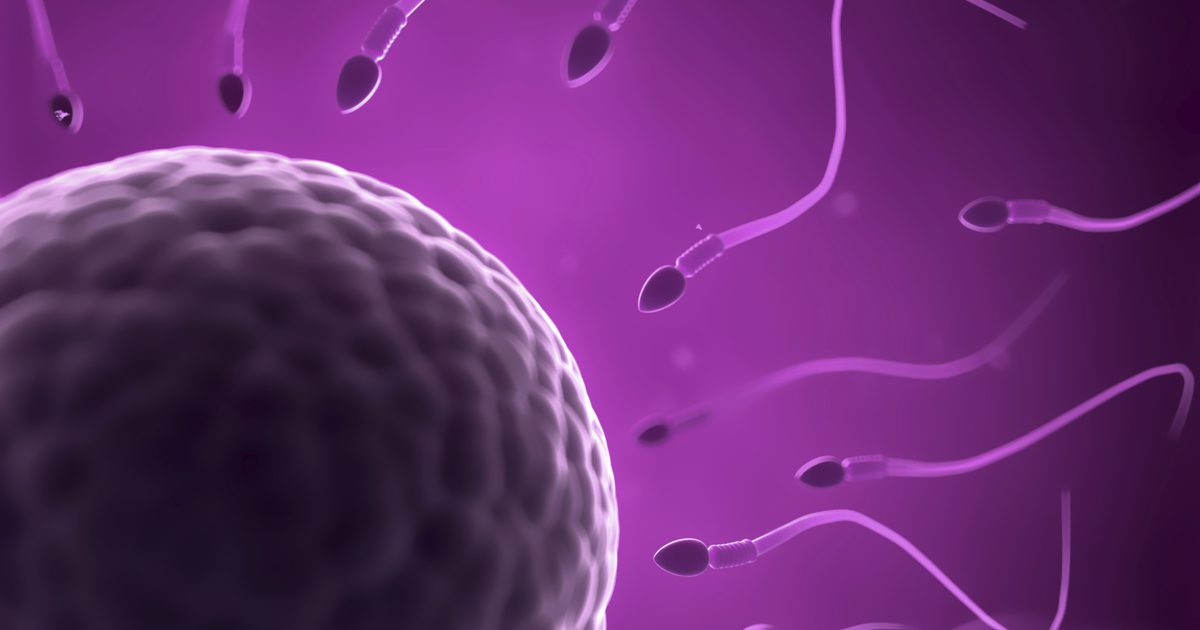 Как да се увеличи спермата без хапчета