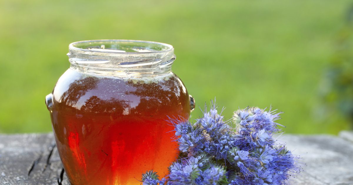 Hvad er fordelene ved Wildflower Honey?