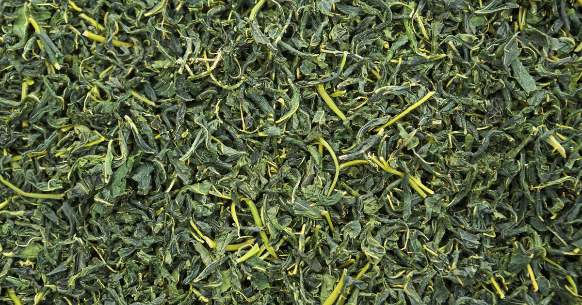 Каковы преимущества для здоровья чая из листьев тутового дерева?