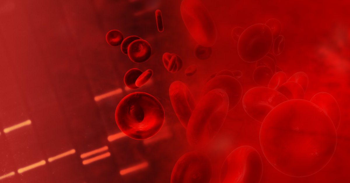 Wat zijn de drie soorten bloedcellen?