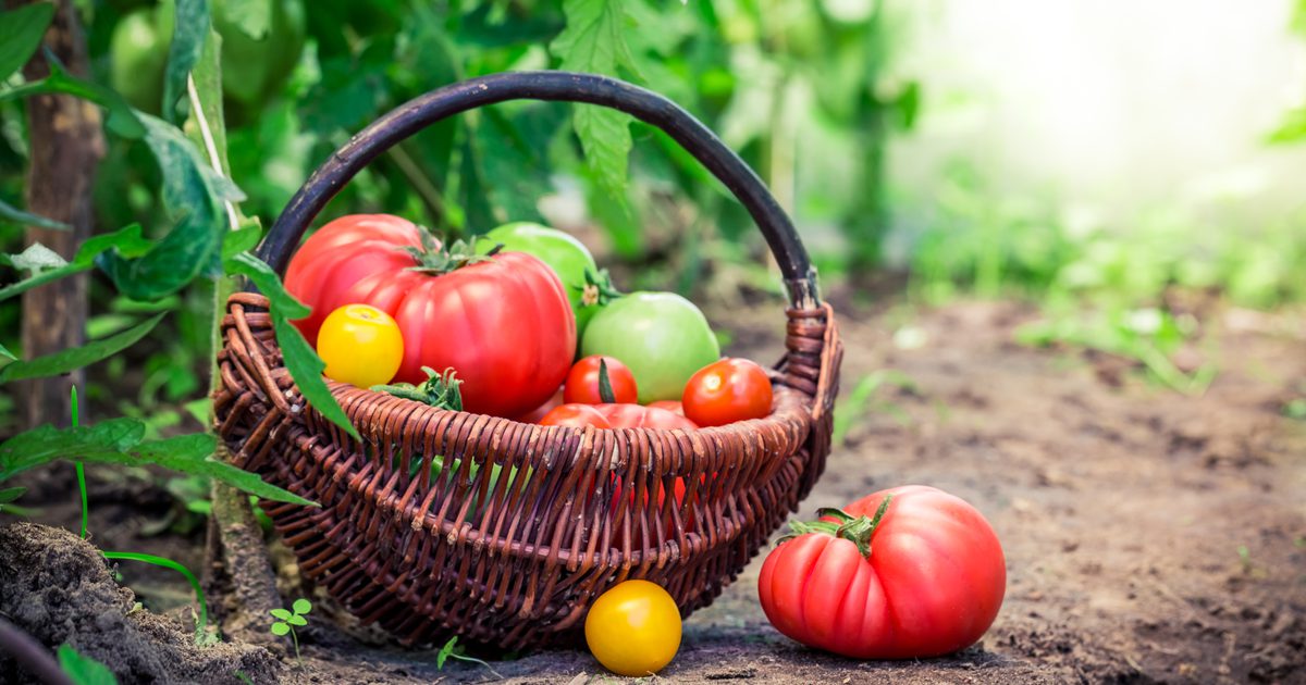 Výhody záhradnej zeleniny