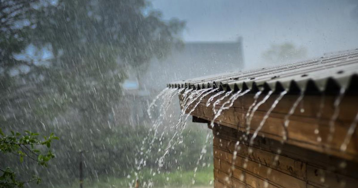Znaczenie wody deszczowej
