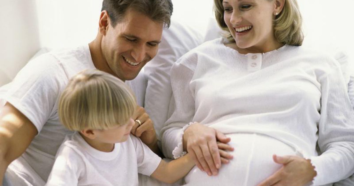 Ontwikkeling van een baby in de baarmoeder