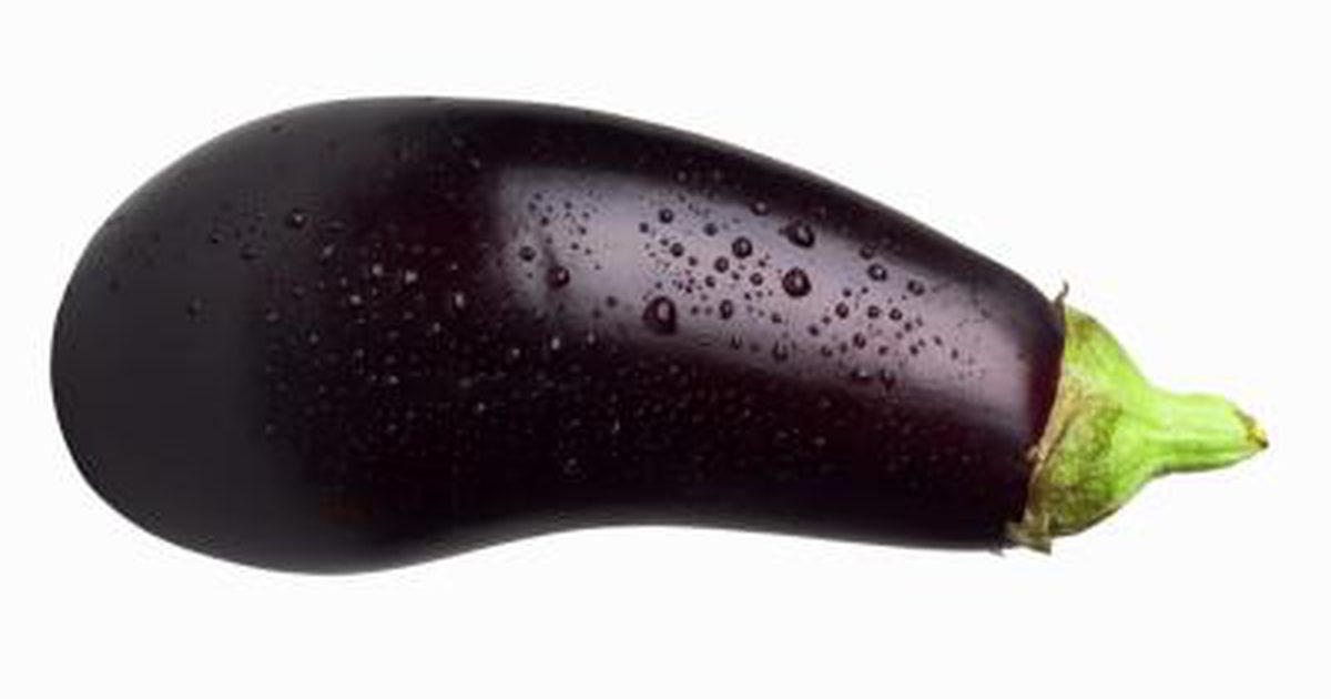 Spise eggplant mens gravid