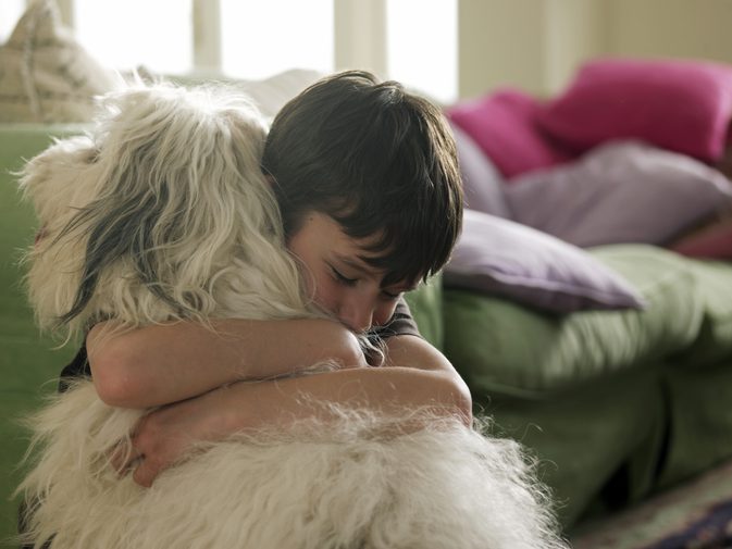 Как да спрете детето си от изтръпване или нараняване на кучето