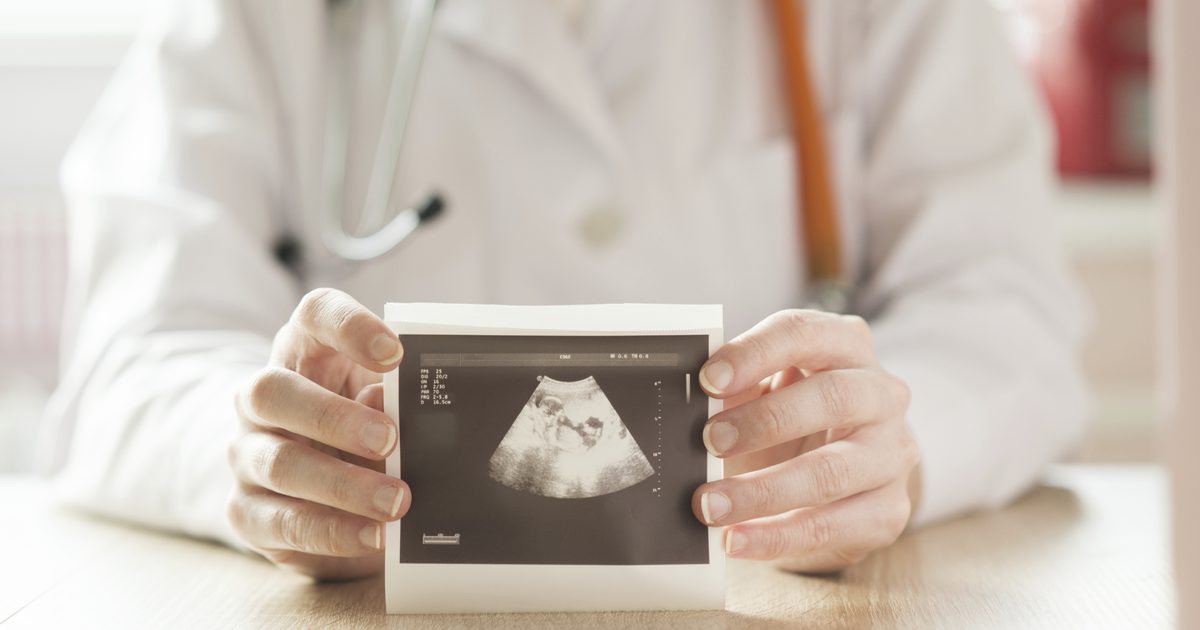 Viktige endringer i tidlig utvikling av et embryo