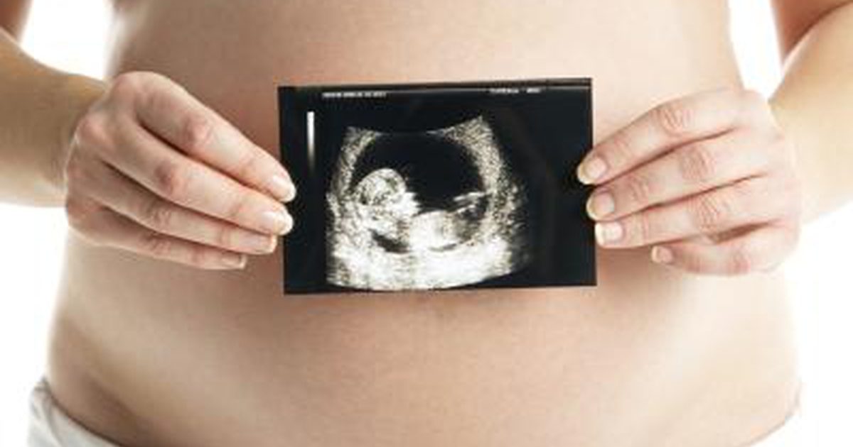 Plazentale Entwicklung in der Schwangerschaft