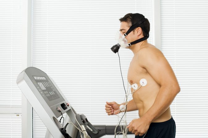 Почему мышцы требуют больше крови во время тренировки?
