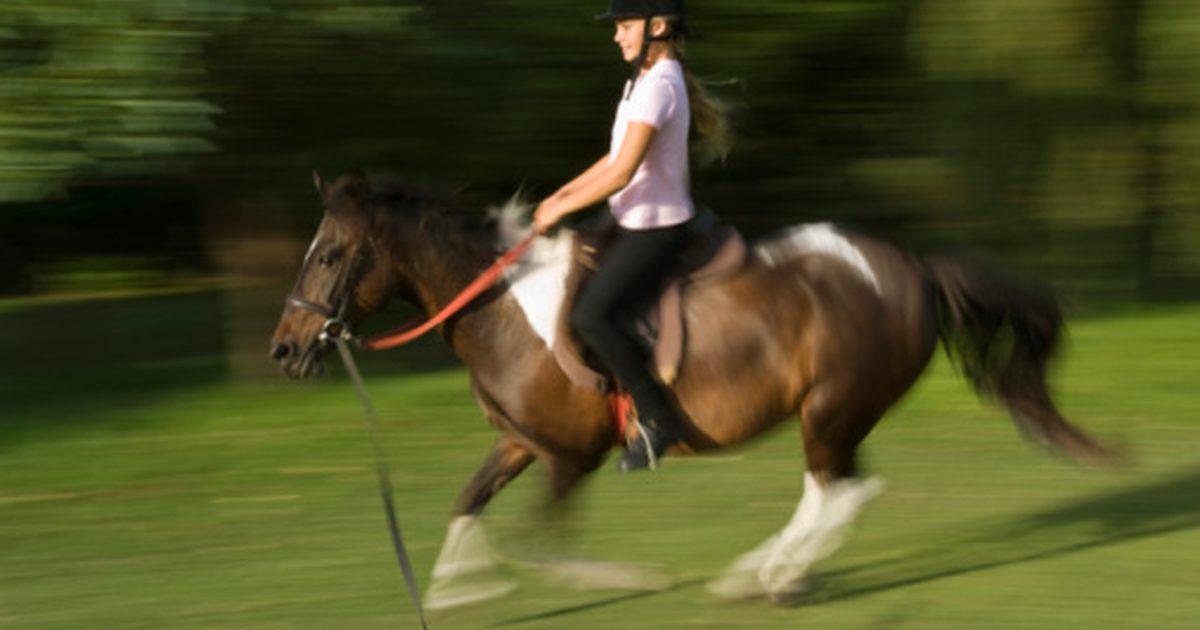 Atletisk träning för hästsport