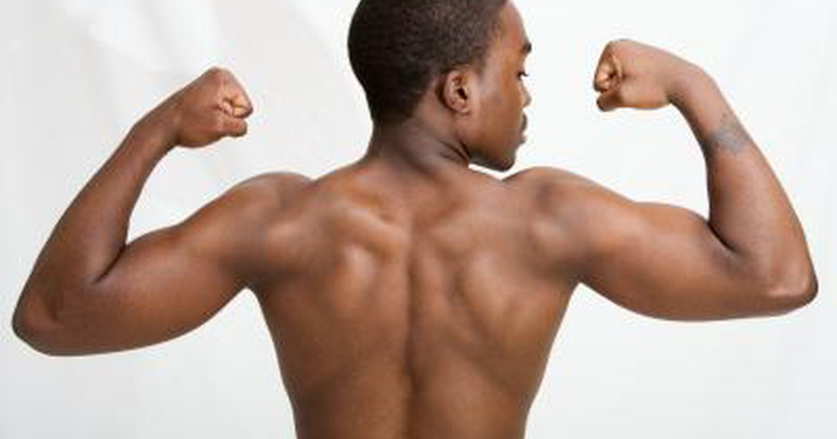 Back & Biceps cvičení pro Mass