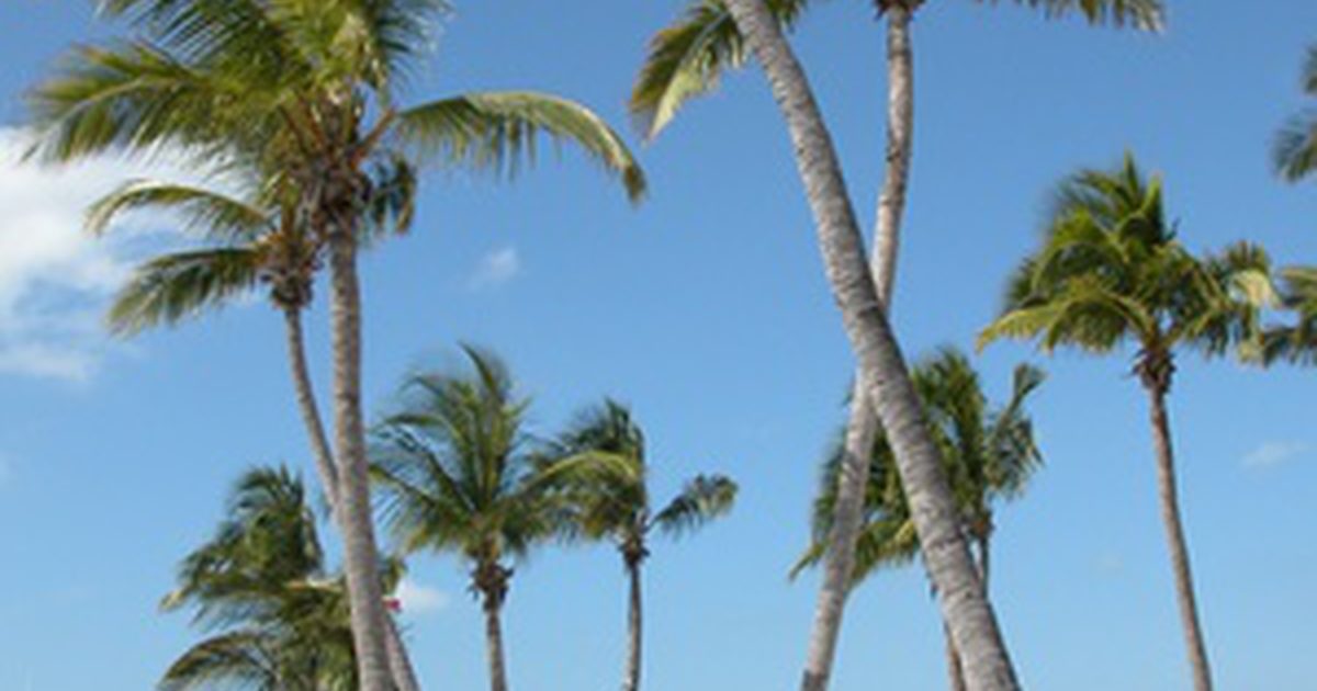 Beachfront RV Parks na Florydzie