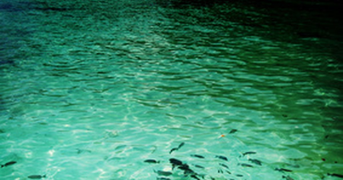 Best Beach za snorkeling v Florida Keys