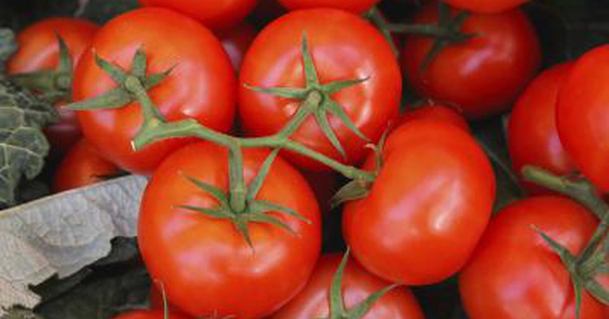 Gesundheitliche Auswirkungen des Essens von rohen Tomaten