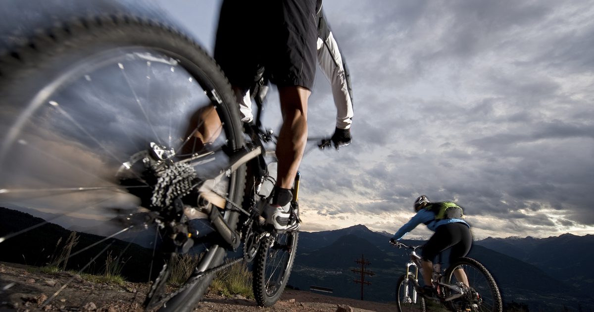 الدراجة الجبلية هوفي مقابل. الدراجة الجبلية المنغولية
