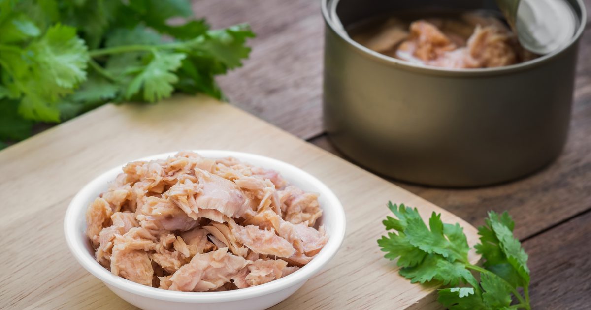 Er kolesterol fundet i konserveret tunfisk sund?