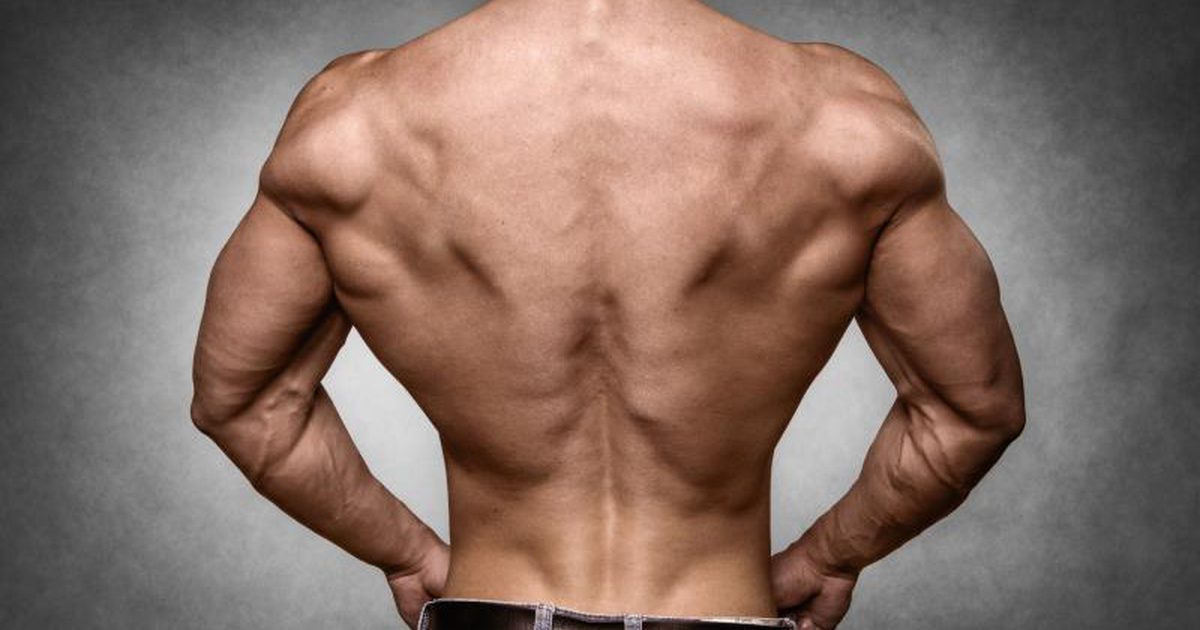 Мышцы спины фото женщина