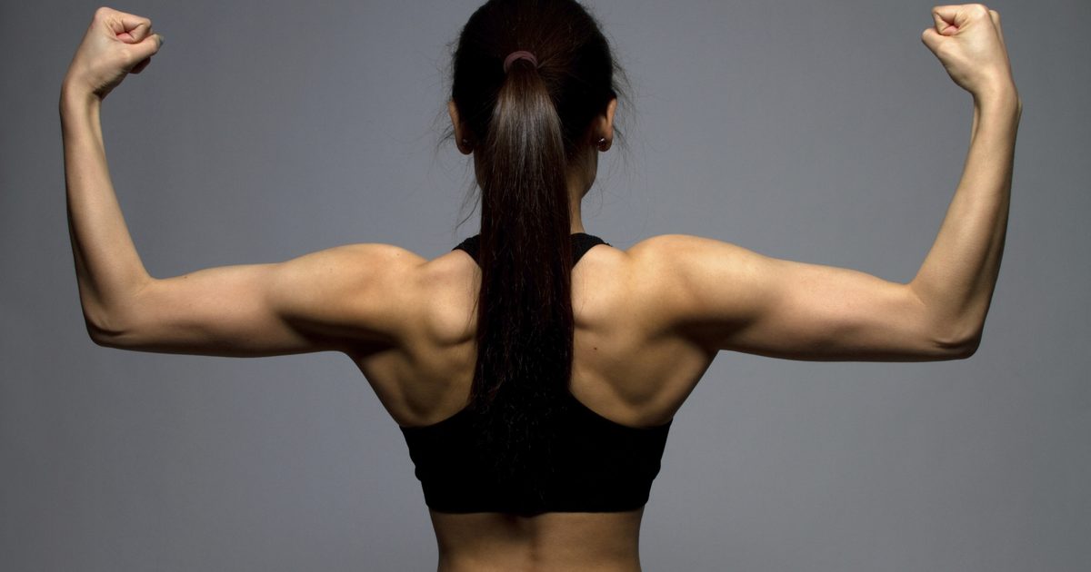 قائمة مجموعات العضلات في الخلف