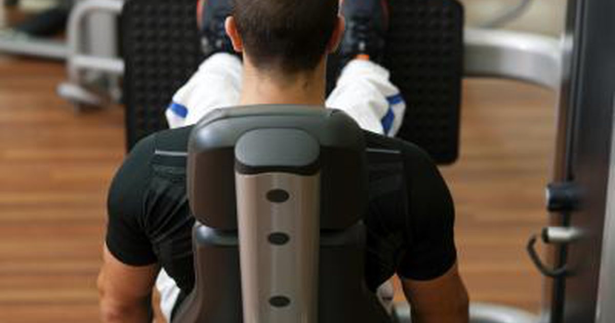 Större muskler som används i benförlängning