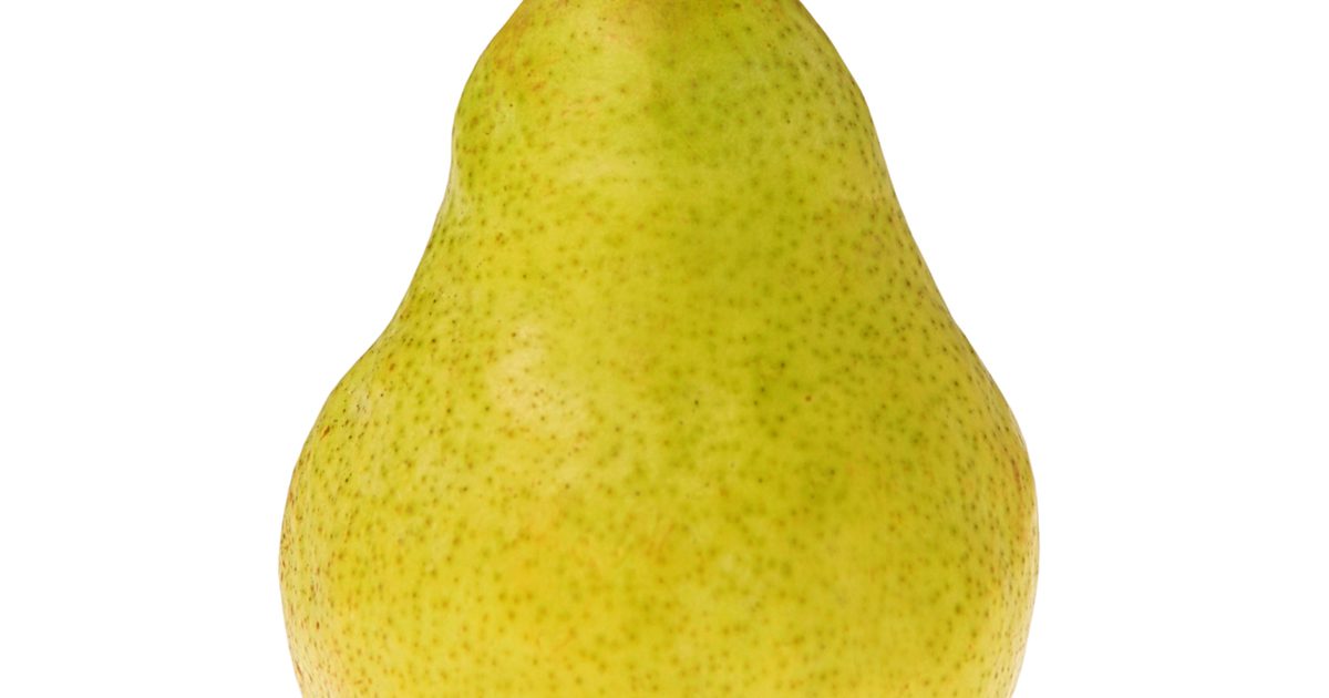 Pear-Shaped Body Vekttap