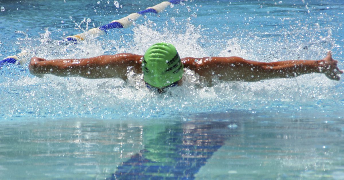 قواعد وأنظمة السباحة الأولمبية