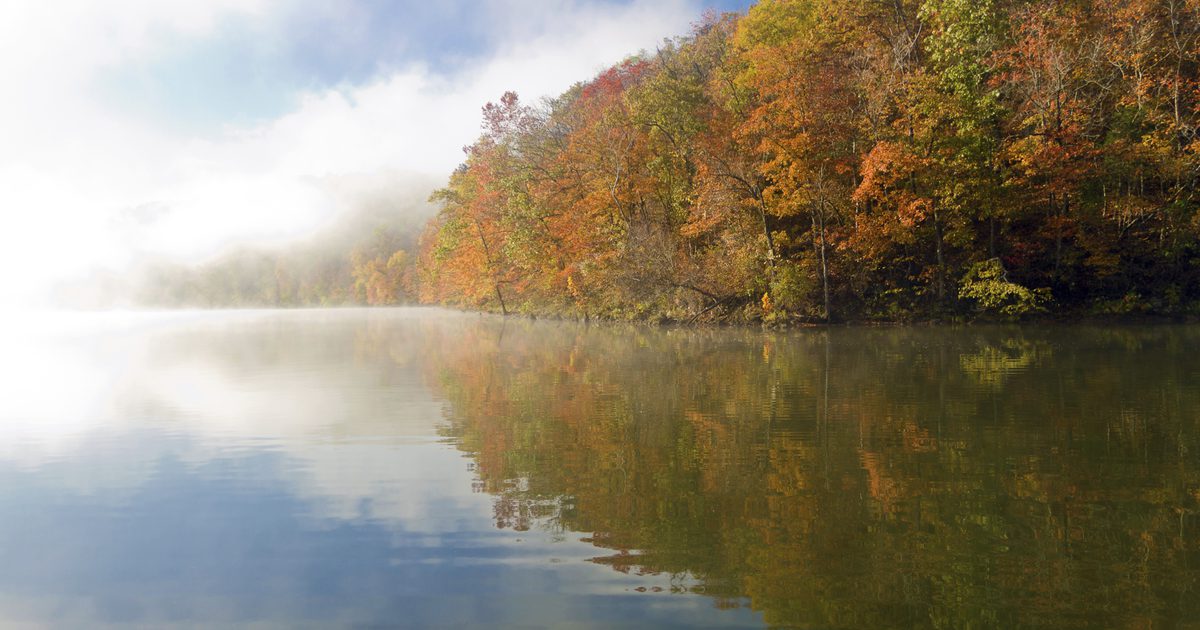 RV Campgrounds Near Stockton Lake, Missouri