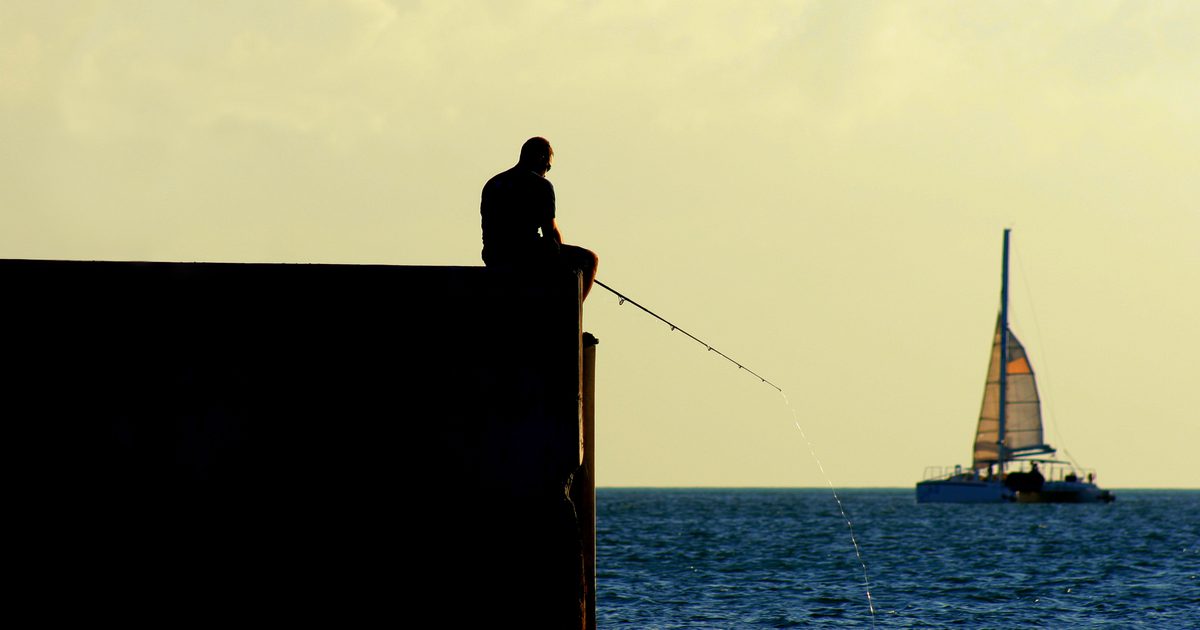 Küstenfischerei in Miami