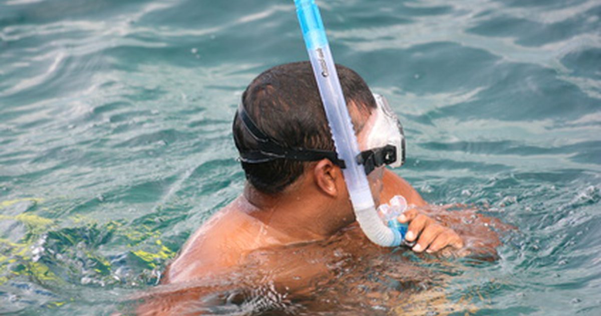 Snorkeling na Marco Islandu, Florida