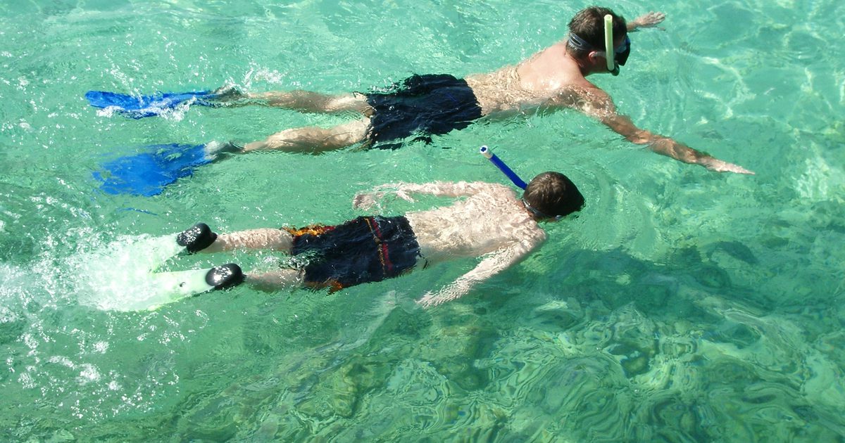 Snorkeling Najbližje do St. Pete Beach, Florida