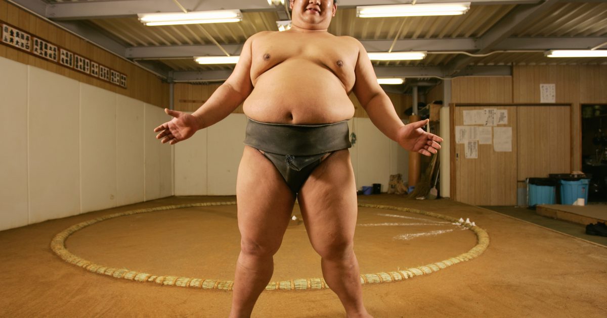 Trening sumo wrestler