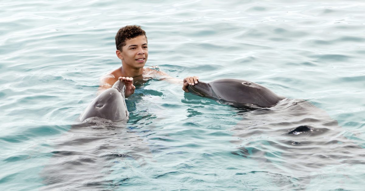 Zwemmen met dolfijnen in San Diego, Californië