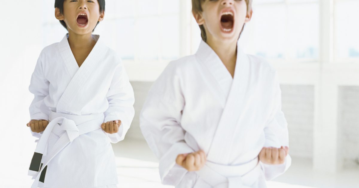 Was ist der Unterschied zwischen Karate und Kung Fu?