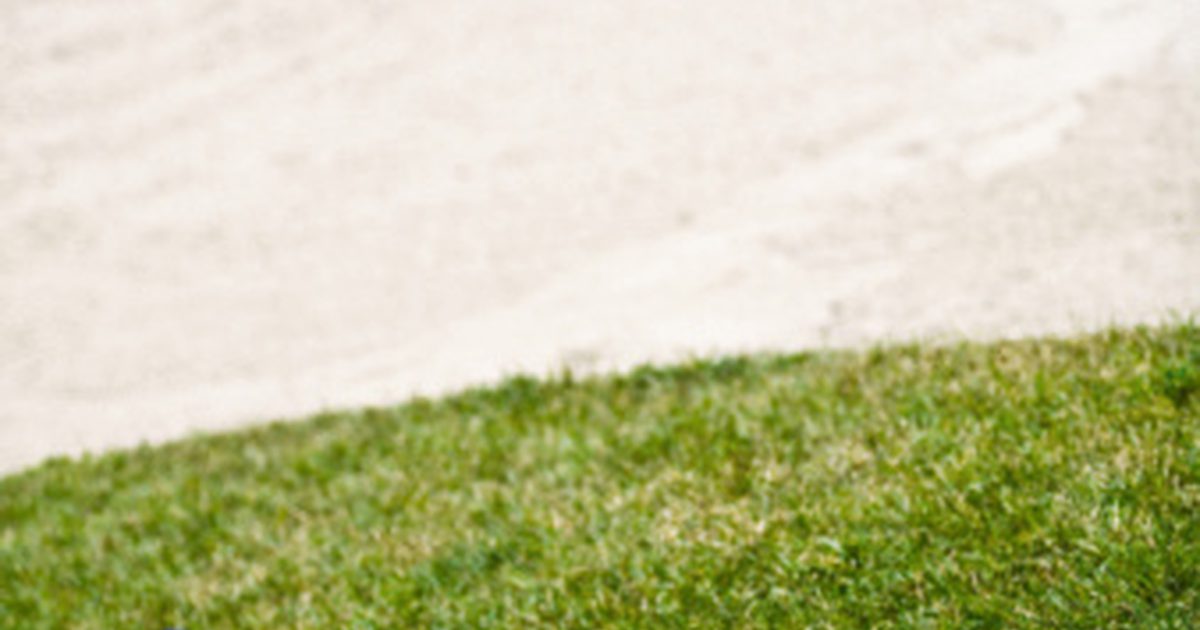 Hvilken type gress brukes på golfbaner?