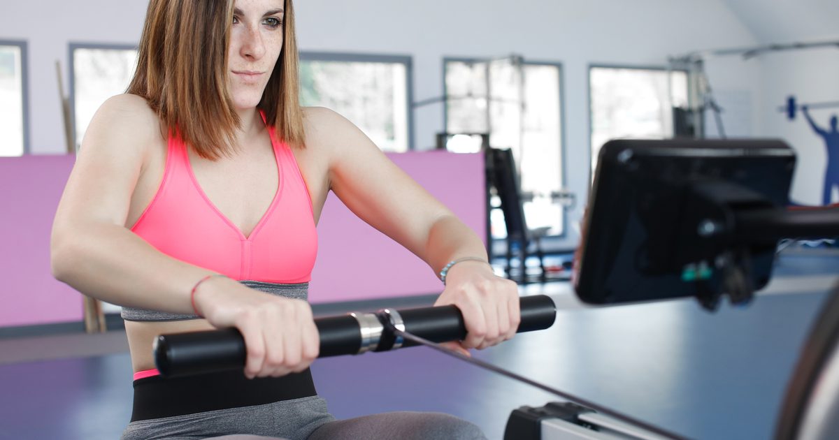 Welke spiergroepen kunt u met de biceps werken?