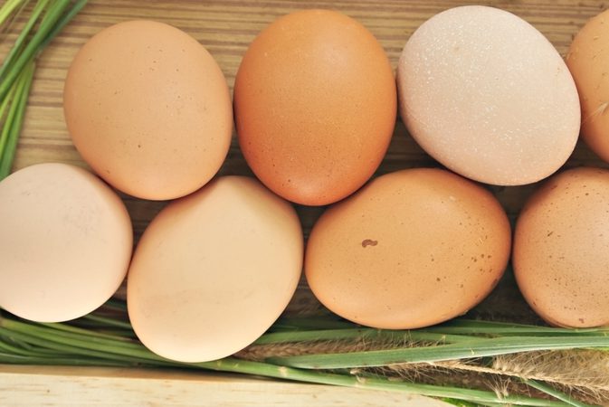 Egg-White diéta rýchlo strácate váhu a budujte svaly