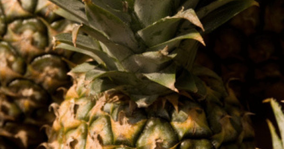 Anti-fetma effekter av ananas