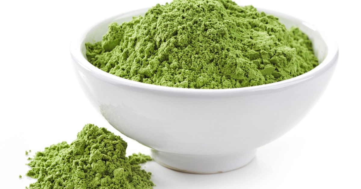 The Best Meal Replacement Powders