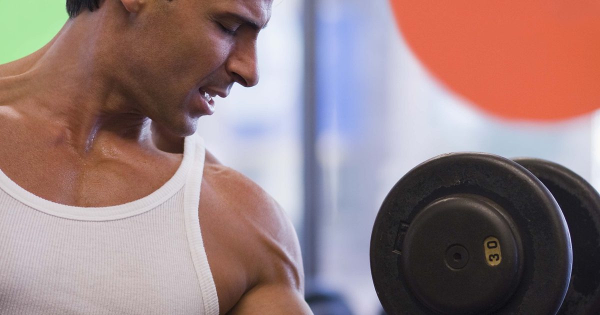 Kan en Low Carb och High Protein Diet Plan bygga enorma muskler?