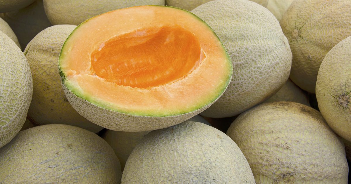 Meloen en gewichtsverlies