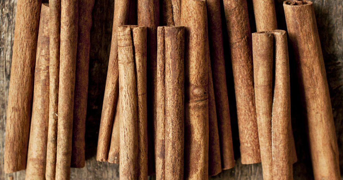 Czy Cinnamon zwiększa metabolizm?