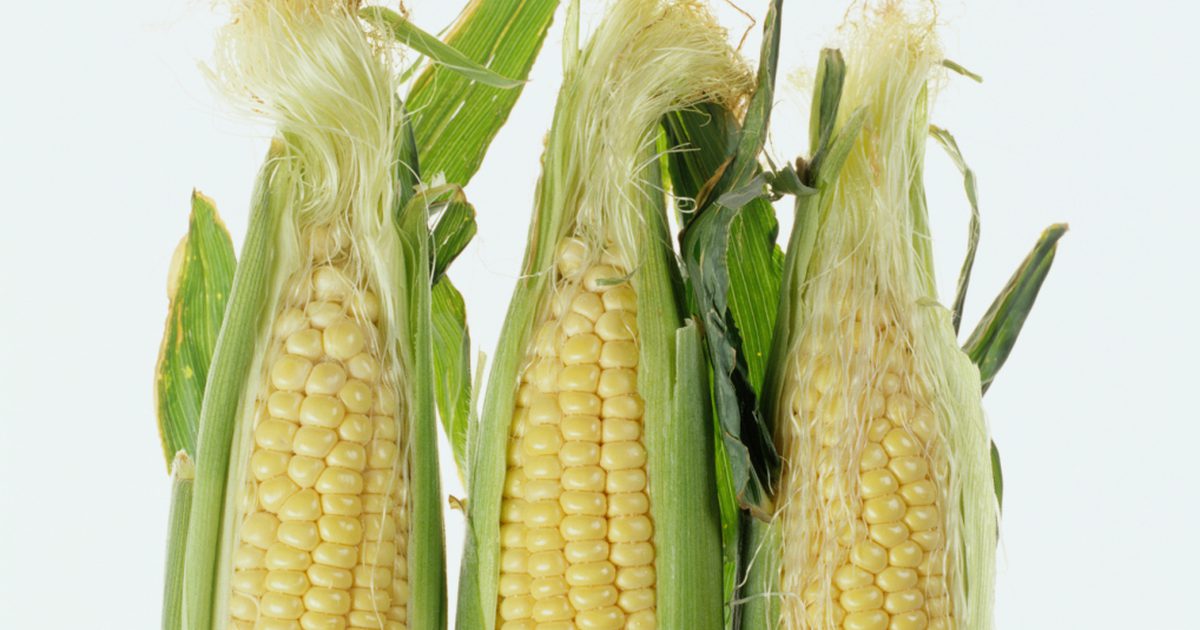 Дали яденето царевица увеличава корема мазнини?