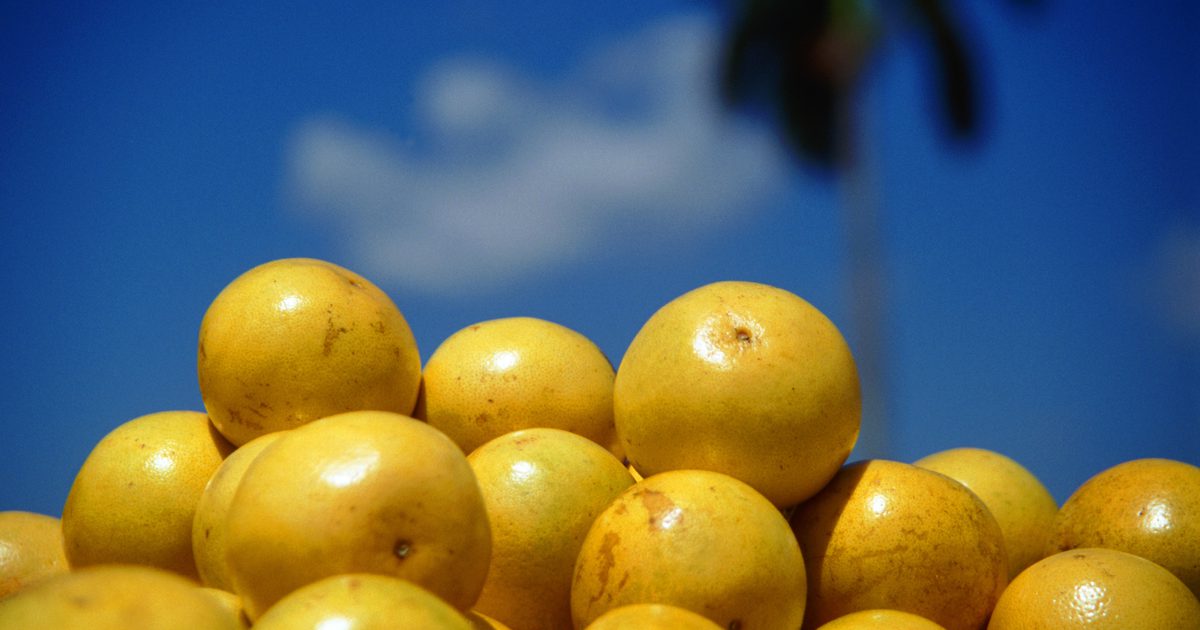 Сок грейпфрута усиливает трамадол?