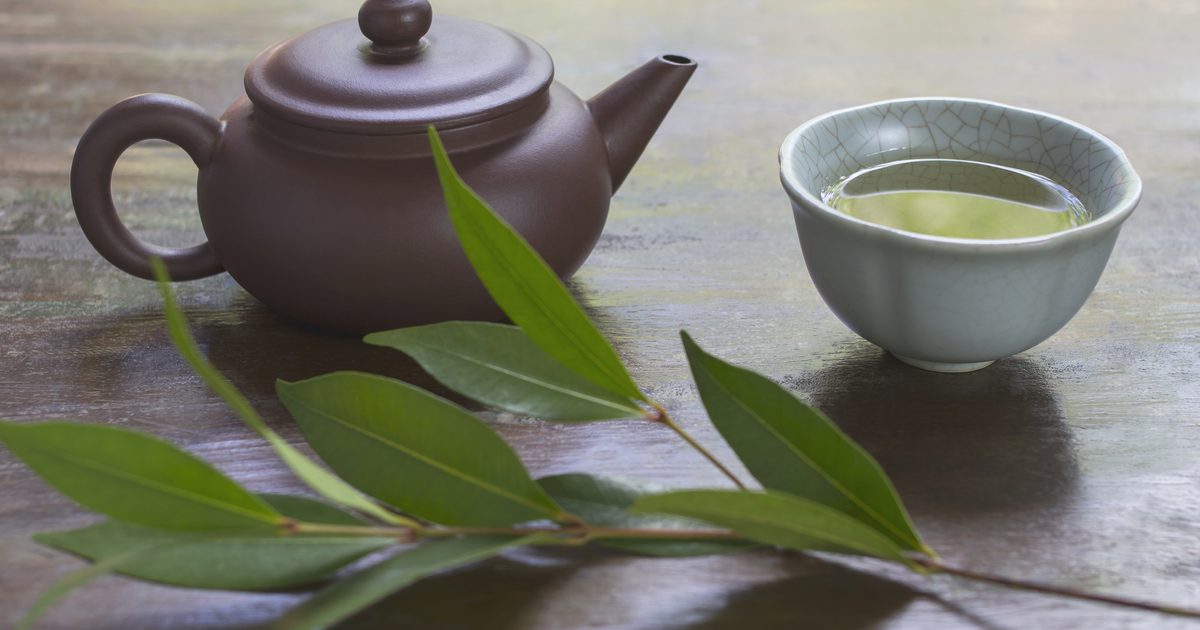 هل يساعد الشاي الأخضر بعد تناول الوجبات في تخفيف الوزن؟
