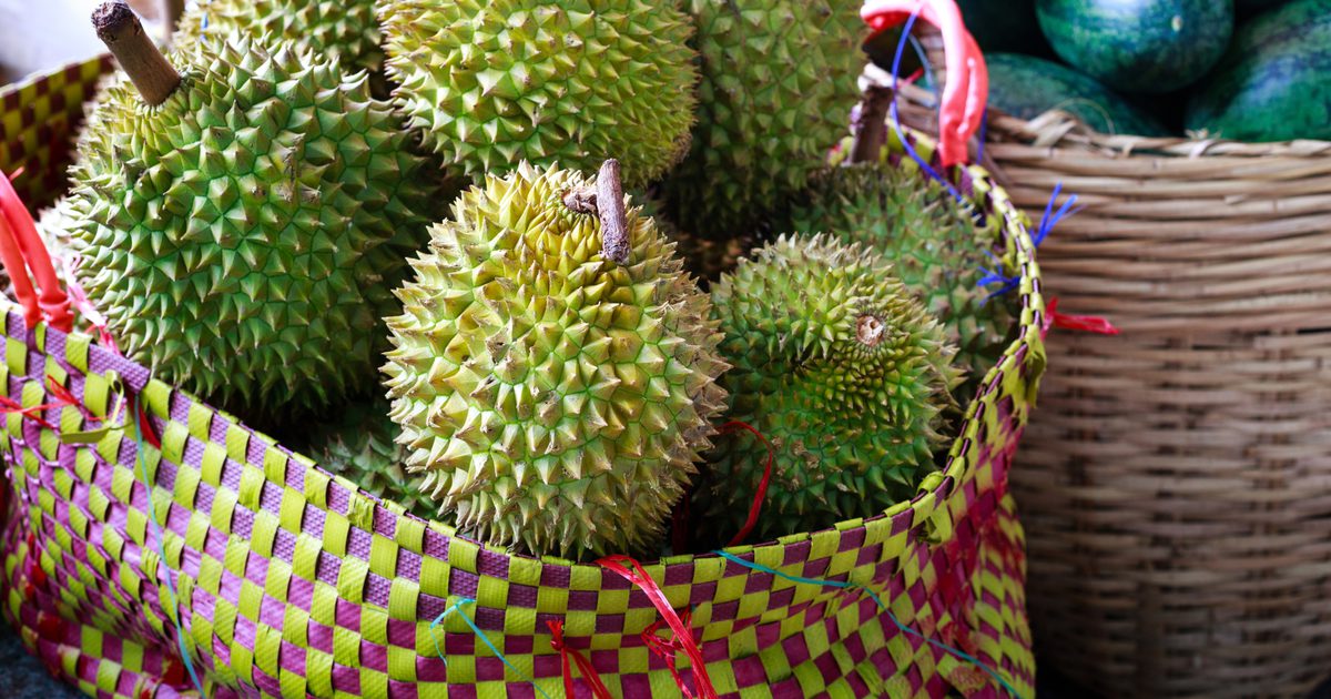 Durian frukt och viktminskning