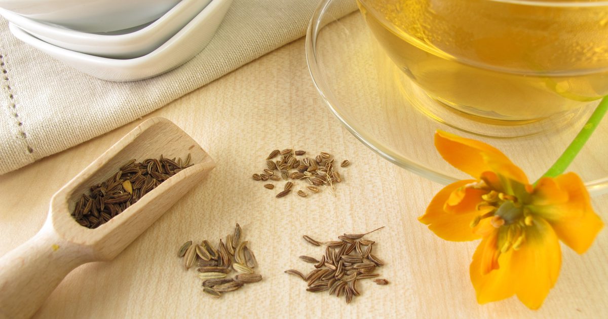 هل شاي الشمر جيد لفقدان الوزن؟