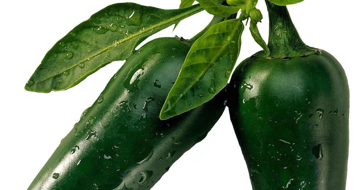 Je zelená chili dobrá strava?