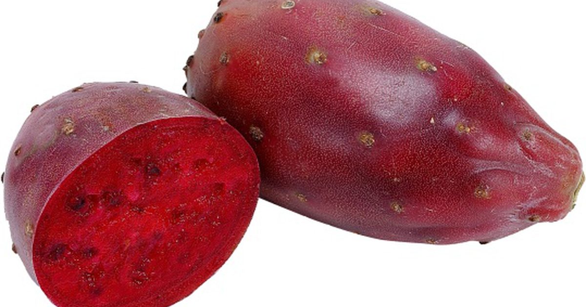 Prickly Pear Cactus Supplement voor gewichtsverlies